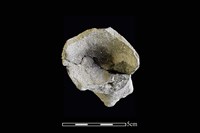 陶杯藏品圖，第2張